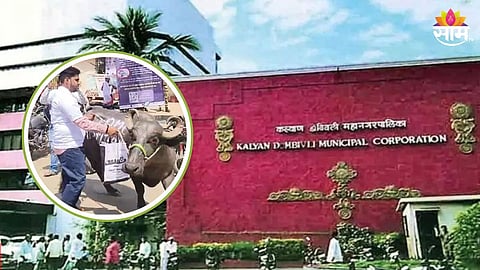 Kalyan : कल्याणकर संतापले! भूमाफियांविरोधात चक्क 'म्हैस' घेऊन थेट KDMC कार्यालयात धडक, वाचा नेमकं प्रकरण काय?