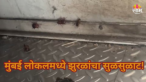 Mumbai Local: मुंबई लोकलमध्ये झुरळं अन् ढेकणांचा सुळसुळाट, प्रवाशांची होतेय गैरसोय; VIDEO व्हायरल 