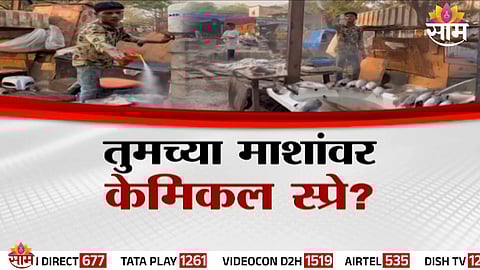 A shocking viral video allegedly shows a fish vendor spraying cockroach killer on fish in Vasai, raising serious food safety concerns.