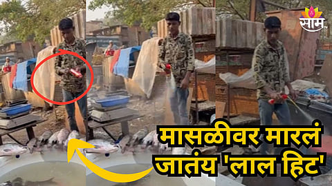 Viral Video : भयंकर संताप! ग्राहकांच्या जीवाशी खेळ, मासे विक्रेत्यानं फवारले झुरळ मारण्याचं औषधं, व्हिडिओ पाहून संताप अनावर होईल