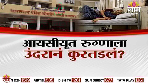 Rat Bite Allegation In Bhayandar Civic Hospital ICU Sparks Outrage After Ventilator Patient Dies