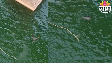 A tragic scene at Savalde Bridge where a 40-year-old man jumped into the Tapi River while locals attempted a rescue.