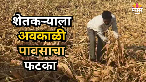 Maharashtra Unsesonal Rain Destroyed Farmer Crops