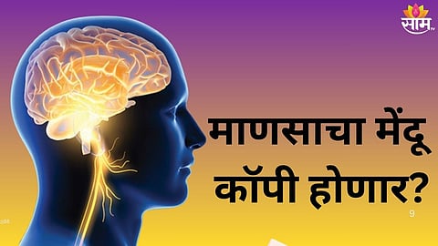 Meta Creates Digital Brain:  