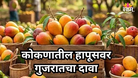 Konkan : हापूसवर गुजरातचा दावा! वलसाड हापूसला 'जीआय' मानांकनाची मागणी