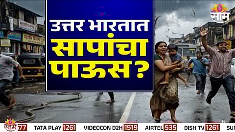 Snake Rain Fact Check: 