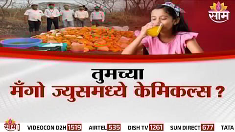 Mango Juice: तुम्ही खाताय आमरस की विष? तुमच्या मँगो ज्युसमध्ये केमिकल्स? 32 टन भेसळयुक्त मँगो प्लप जप्त 