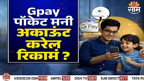 Viral claim about Google Pay Pocket Money feature being a scam turns out to be false after fact check.