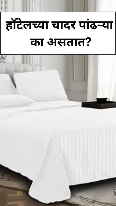 Hotel Bedsheets