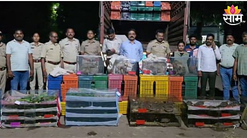 Wildlife Smuggling Busted: 