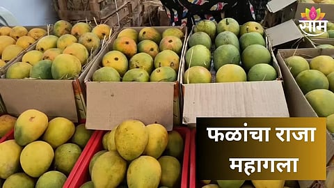 Mango Price Hike