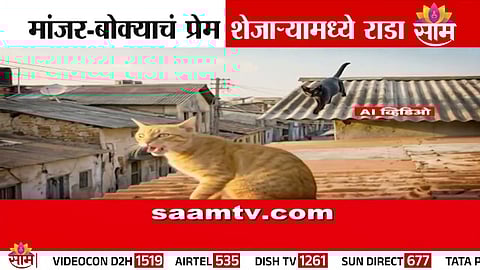 Bengaluru pet dispute