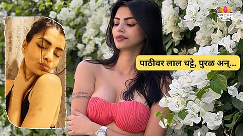 Famous Actress Allegation On Bigg Boss Marathi 6 