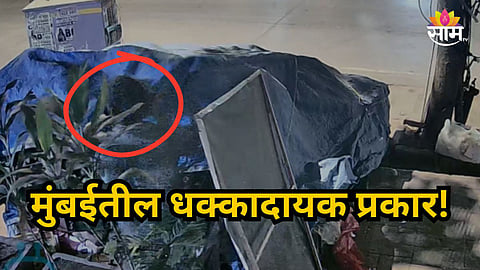 Mumbai : रात्री चोरी, दिवसा फळ विक्री; मुंबईत फळ विक्रेत्याचा काळा धंदा उघड