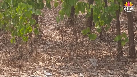 man found Dead at Kalyan Khadvli river area.