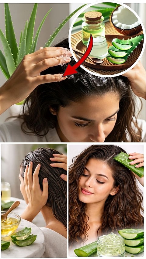 Aloe Vera And Coconut Oil Hair Mask