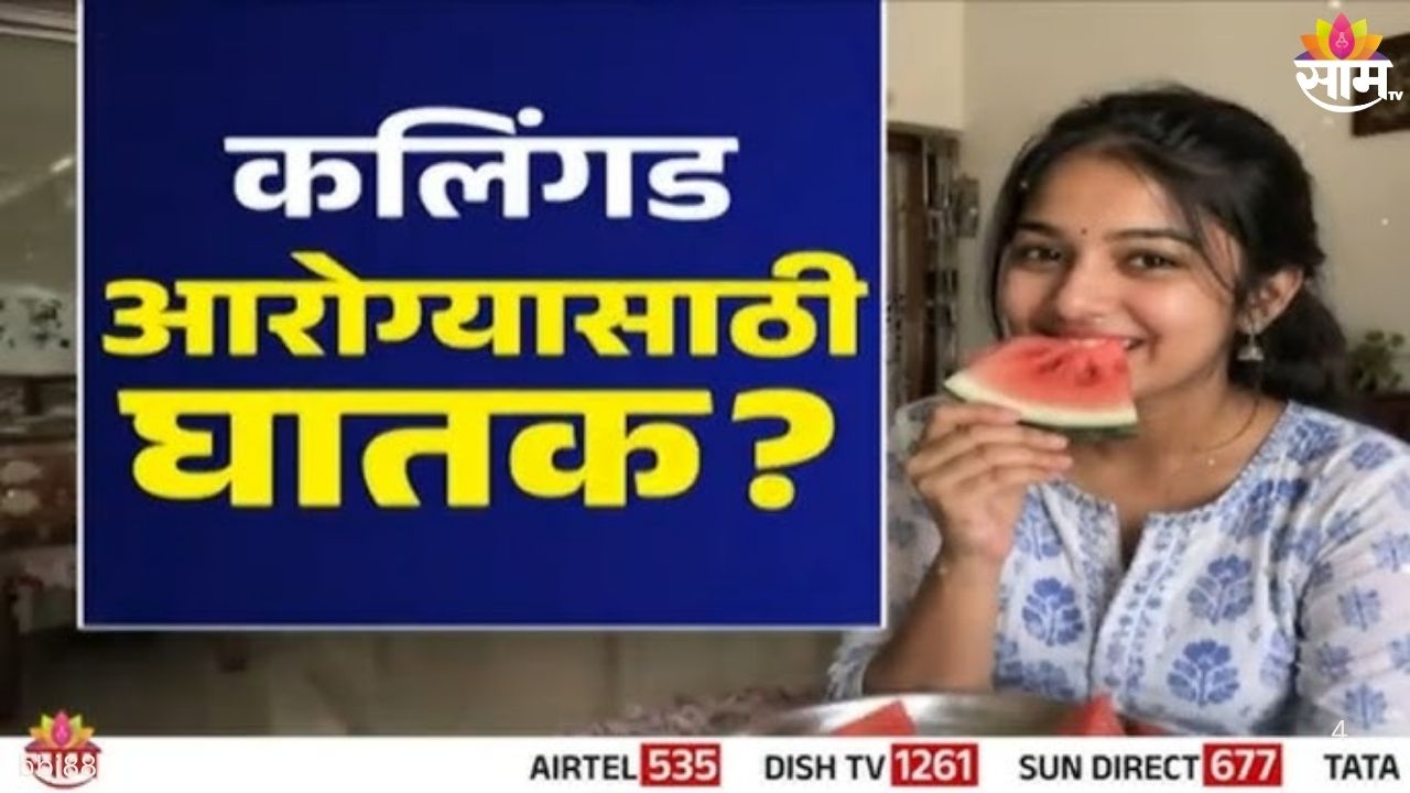 Watermelon Dangerous at Night : 