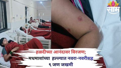 Guests run for safety after a sudden bee attack disrupted a haldi ceremony in Pune’s Rajgad taluka.