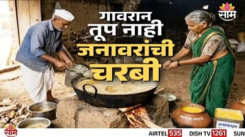 Fake Ghee Racket: गावरान तूप नाही तर चक्क जनावरांची चरबी, किळसवाण्या कारखान्याचा पर्दाफाश

