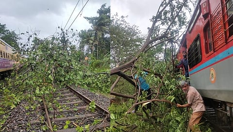 Trees Falled down on Konkan Railway Track