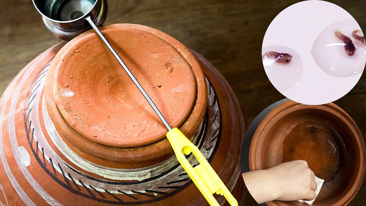 How To Clean Earthen Pot उन्हाळ्यात माठातलं पाणी पिताय? कशी राखाल