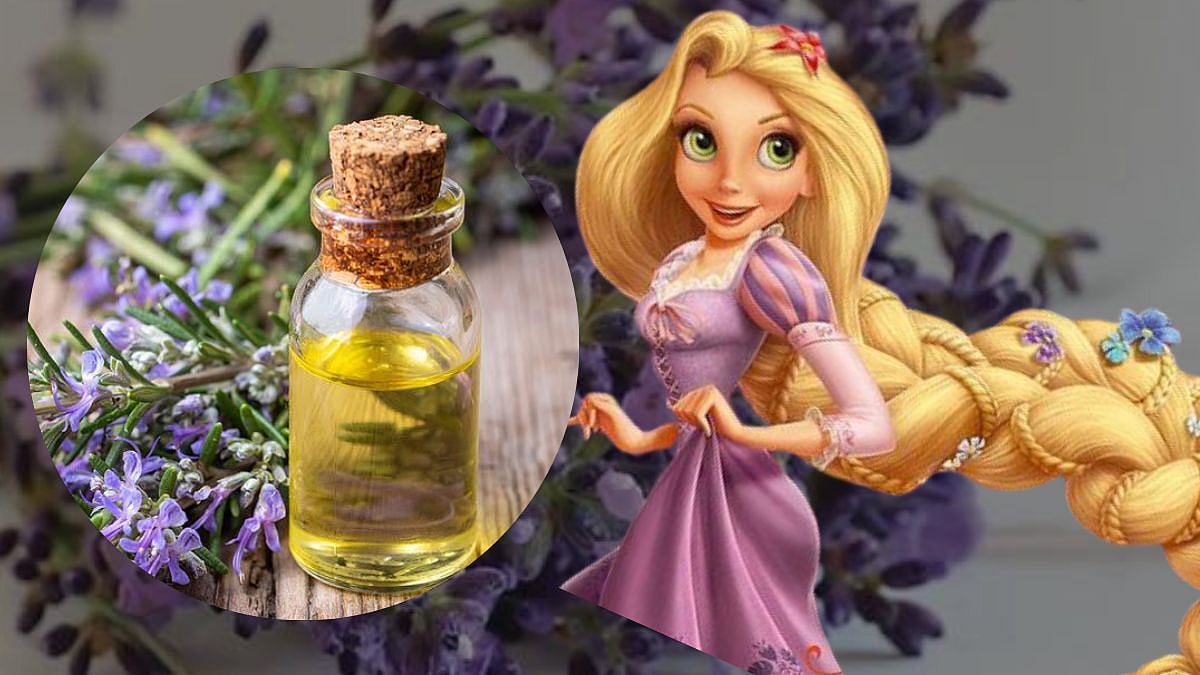 Hair Care Tips केसांना मजबूत आणि लांबसडक बनवण्यासाठी 'हे' तेल ठरेल