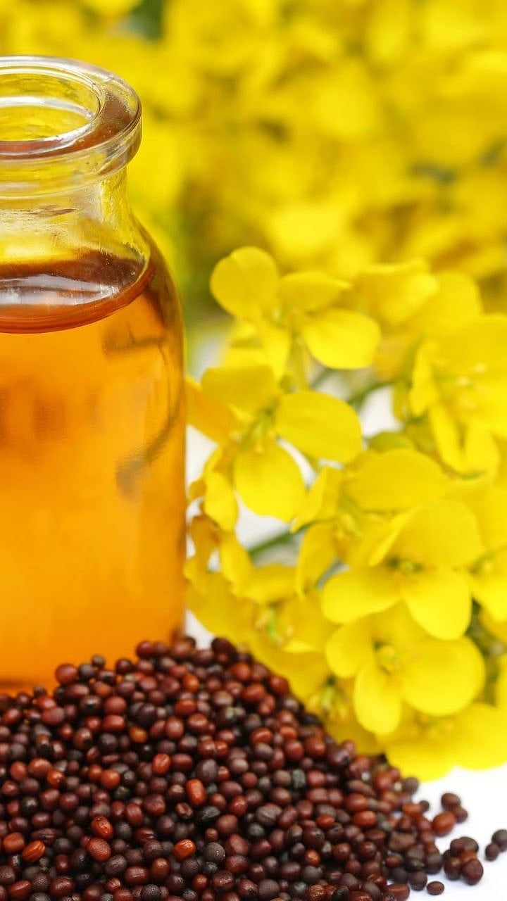 Benefits Of Mustard Oil मोहरीच्या तेलाचे 'हे' फायदे तुम्हाला करतील