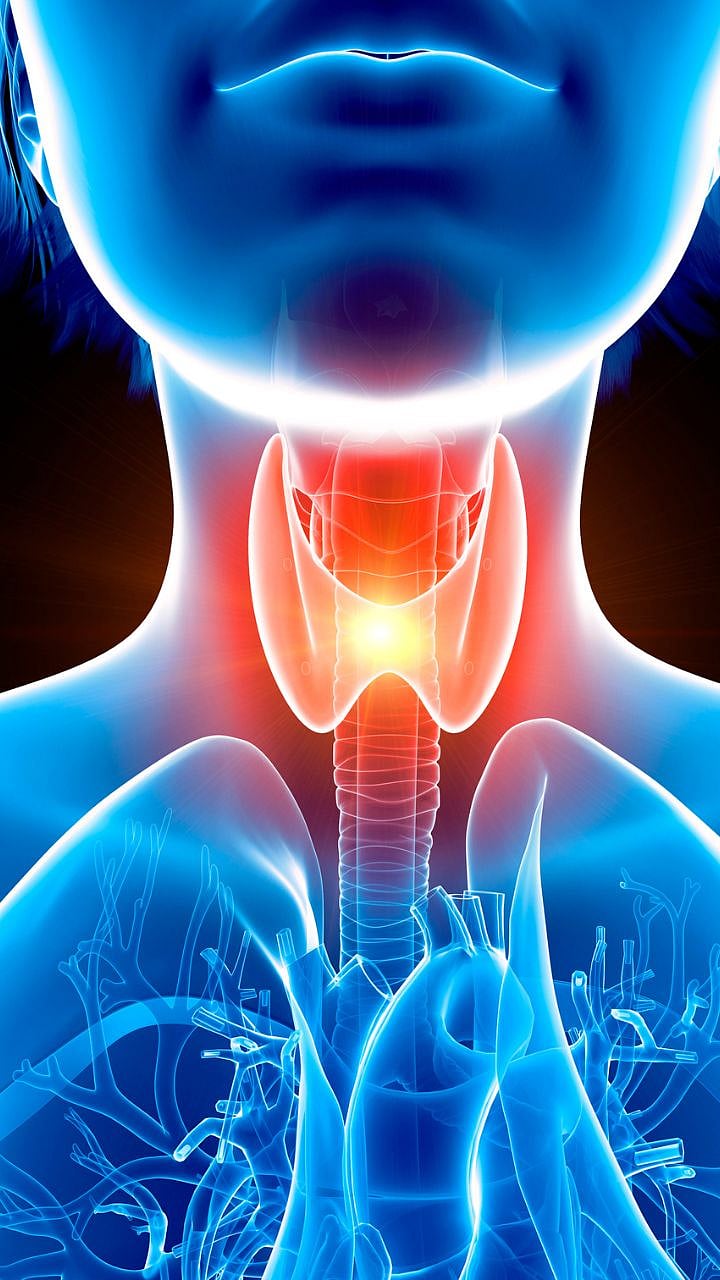 Thyroid Problem | थायरॉईडने त्रस्त आहात? गरम पाणी पिणे योग्य की अयोग्य ...