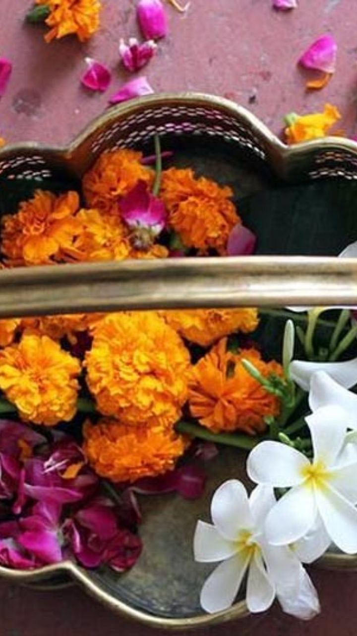 पुजेसाठी फुले तोडताय? कशी घ्याल काळजी?|What care should be taken while ...