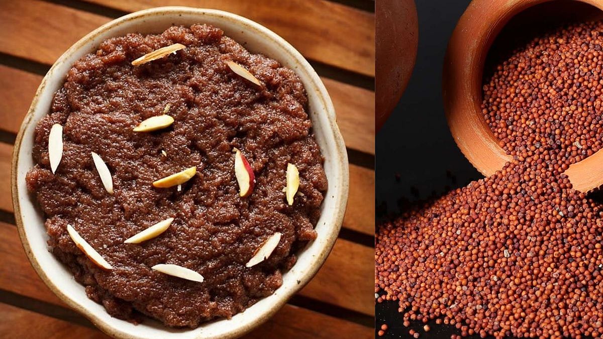 Ragi Halwa Recipe : आरोग्यासाठी पौष्टिक अन् हेल्दी नाचणीचा हलवा, झटपट बनेल; पाहा रेसिपी | How To make ragi halwa winter special nachani benefits immunity booster food cooking hacks tips kkd99