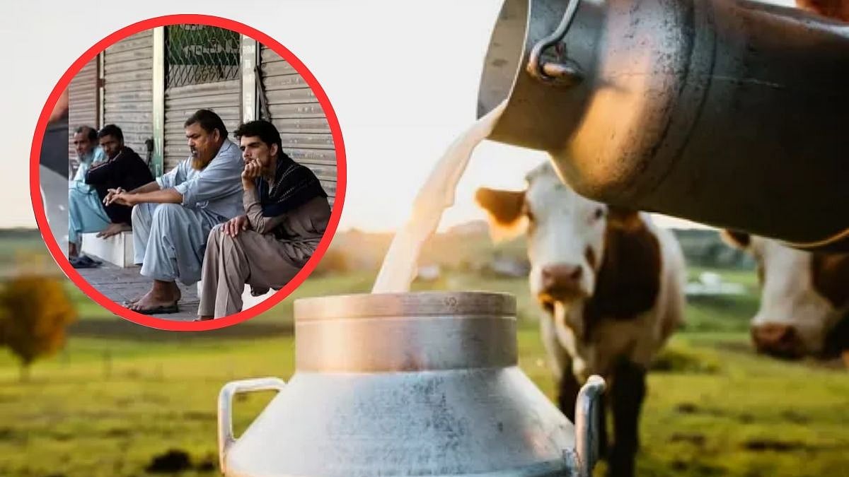 Inflation Fall In Pakistan Milk Price 210 Ruppes Rice 800 Per Kilo ...