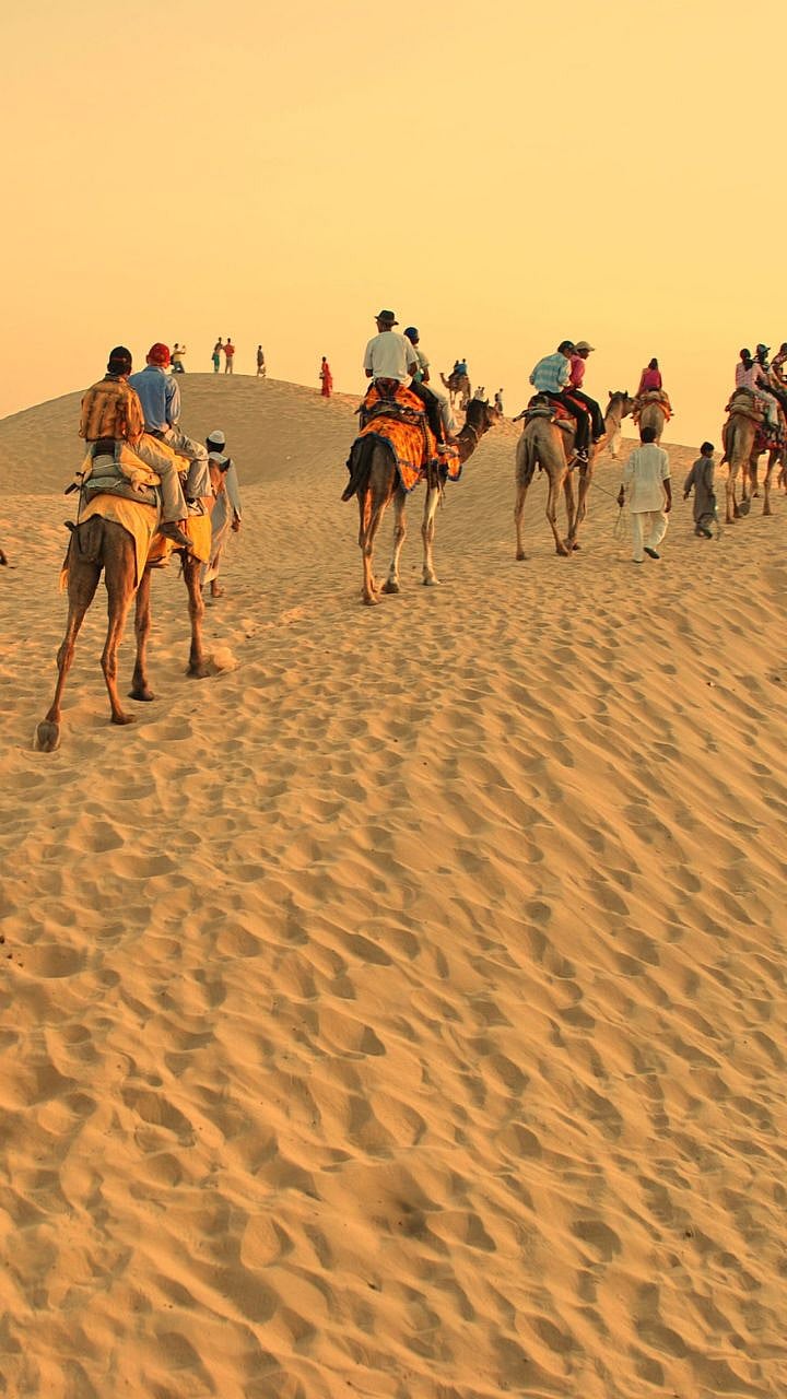 Winter Travel : गुलाबी थंडी अन् धुक्याची चादर, हिवाळ्यात करा 'या ...