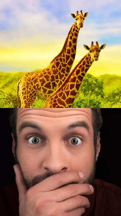 जिराफ किती वर्ष जिवंत राहू शकतो? उत्तर ऐकून तुमचाही विश्वास बसणार नाही