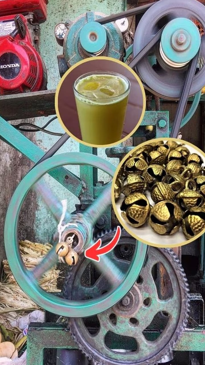 उसाचा रस काढणाऱ्या मशीनला घुंगरू का बांधलेले असतात? | why do sugarcane ...