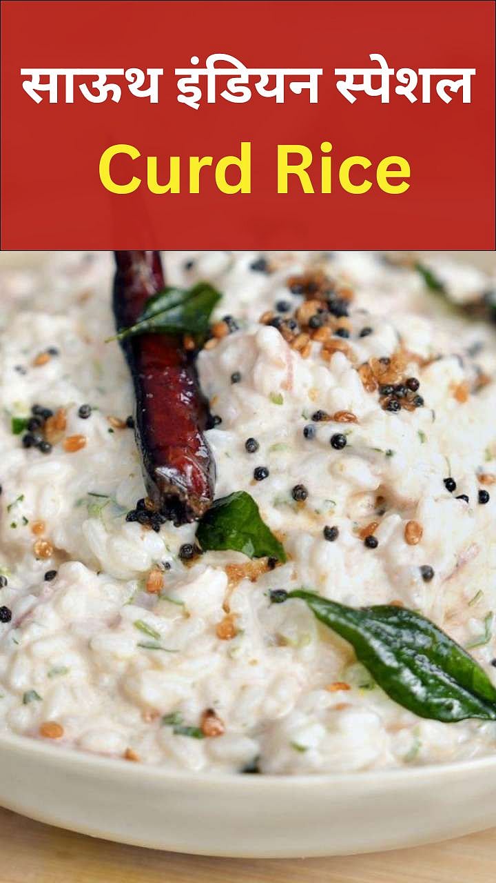 साऊथ इंडियन फेमस दही भात घरी कसा बनवायचा? सोपी रेसिपी South Indian ...