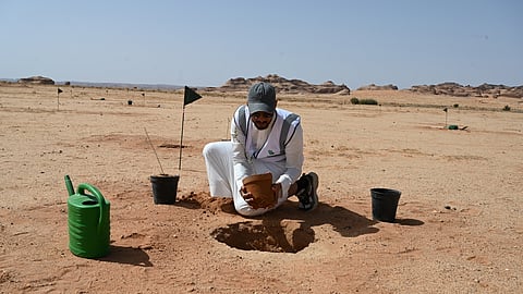 "ملكية العلا" تشارك أسبوع البيئة بمجموعة من الفعاليات والبرامج