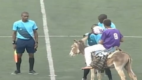 عجائب الكرة الإفريقية.. إحضار الكرة إلى حكم مباراة على ظهر حمار "فيديو"