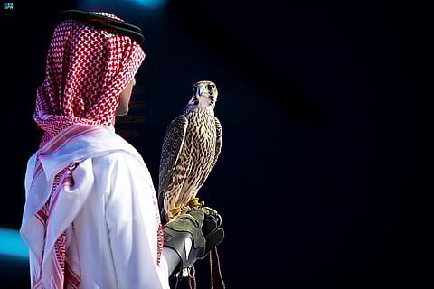في الليلة الـ27.. بيع 3 صقور بـ248 ألف ريال بمزاد نادي الصقور السعودي