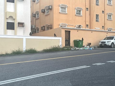 هجوم وتخريب ورعب طال المنزل والمتجر.. من يوقف زحف قرود "البابون" في الجنوب؟