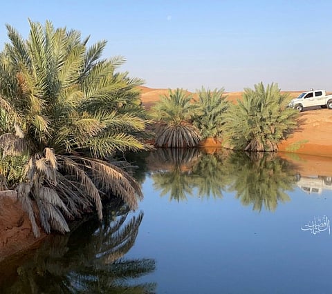 شاهد.. "برودان" أنموذج حي لـ"واحة الصحراء".. بحيرة محفوفة بالنخيل داخل الرمال جنوب المشاش