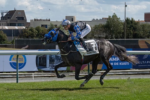 إنجاز سعودي جديد.. عذبة للسباقات تُحقق كأس "ويلينغتون جونيور" للجياد العربية الأصيلة