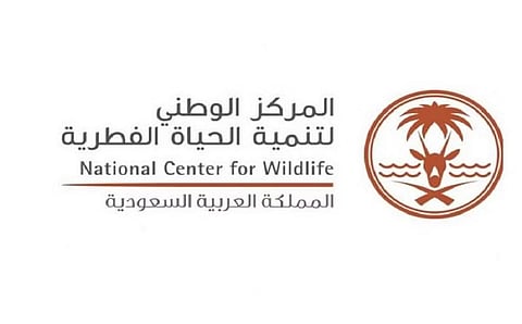 "الحياة الفطرية": هذه الأماكن يحظر فيها صيد الكائنات البرية