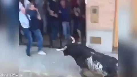 فيديو مرعب.. "طعنة قاتلة" من قرن ثور هائج