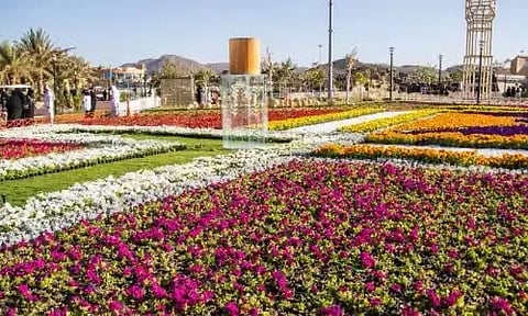 مجلة أمريكية تدعو سياح العالم لزيارة "عاصمة الورد" بالسعودية في عام 2024