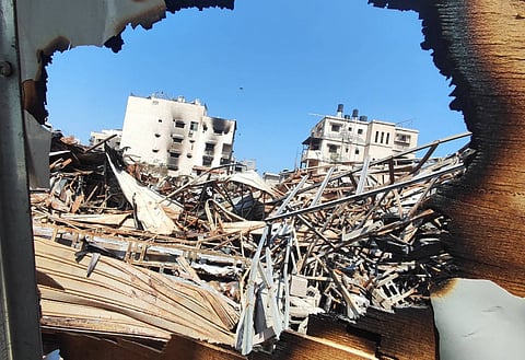 هيئة حقوق الإنسان بغزة: إصابة 13902 نازح بالوباء الكبدي