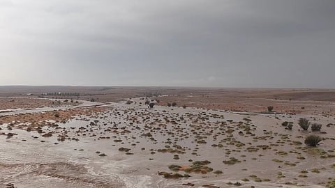 نقره لعرض الصورة في صفحة مستقلة