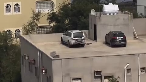 إيقاف "السيارات" فوق أسطح المنازل في "فيفاء".. "سبق" تكشف الحقيقة والتفاصيل