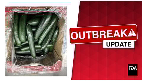 بعد تسجيل 68 إصابة.. سحب خيار ملوث بالسالمونيلا من الأسواق في 26 ولاية أمريكية