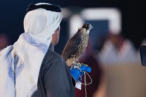 انطلاق منافسات كؤوس الملك عبدالعزيز لمزاين الصقور بجوائز تتجاوز 4,9 ملايين ريال