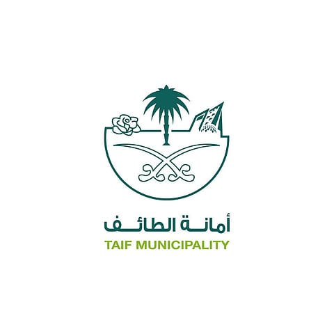 أمانة الطائف تدعو لإنشاء "برج مغامرات" بطريق الملك عبدالله